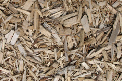 biomass boilers Packwood