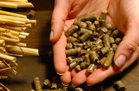 Packwood pellet boiler